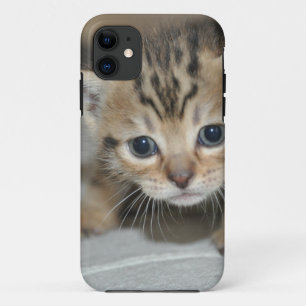 Cute Young Kitten iPhone 11 Case