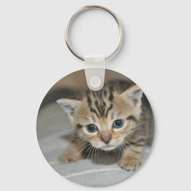 Cute Young Kitten Key Ring (Front)