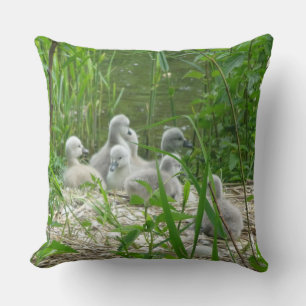Cute young Swans Throw Pillow