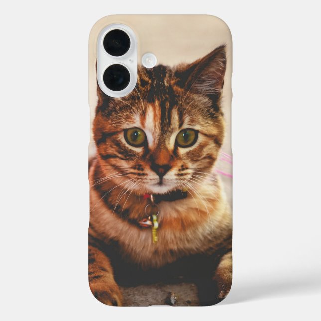 Cute Young Tabby Cat Kitten Kitty Pet Case-Mate iPhone Case (Back)