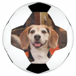Cute Your Own Pet Photo Modern Custom Football