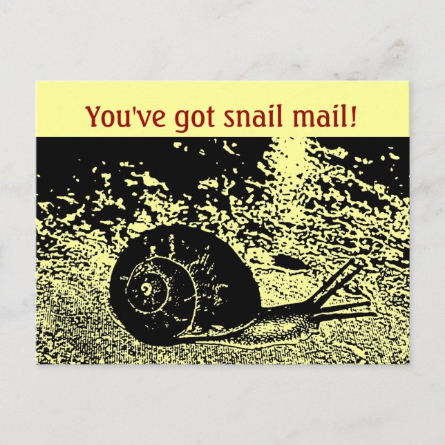 Cute You've Got Snail Mail! Postcard (Front)