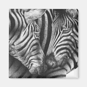 Cute Zebra Magnet