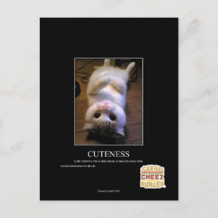 Cuteness 2 postcard