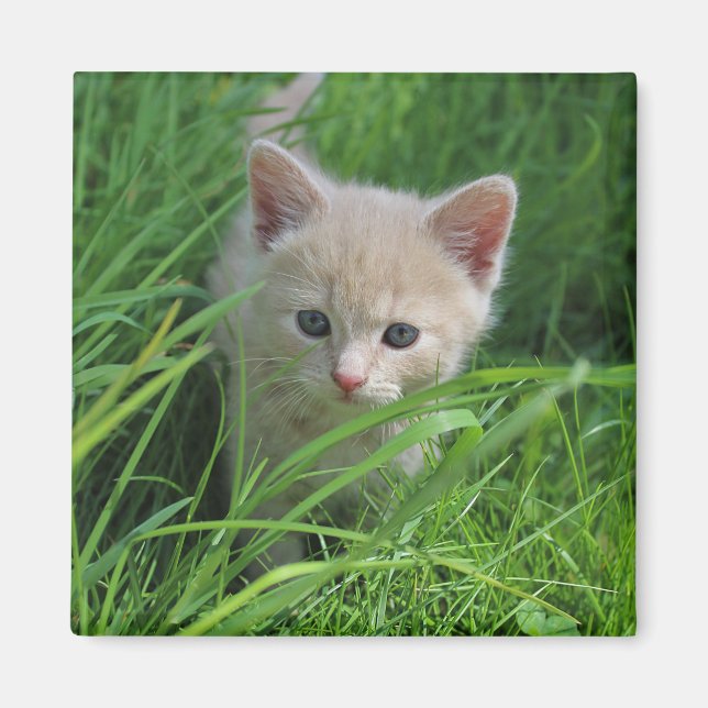 Cuteness Magnet (Front)