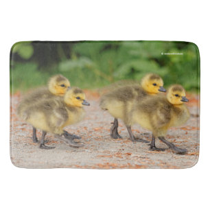 Cuteness on Parade: Canada Goose Goslings Bath Mat