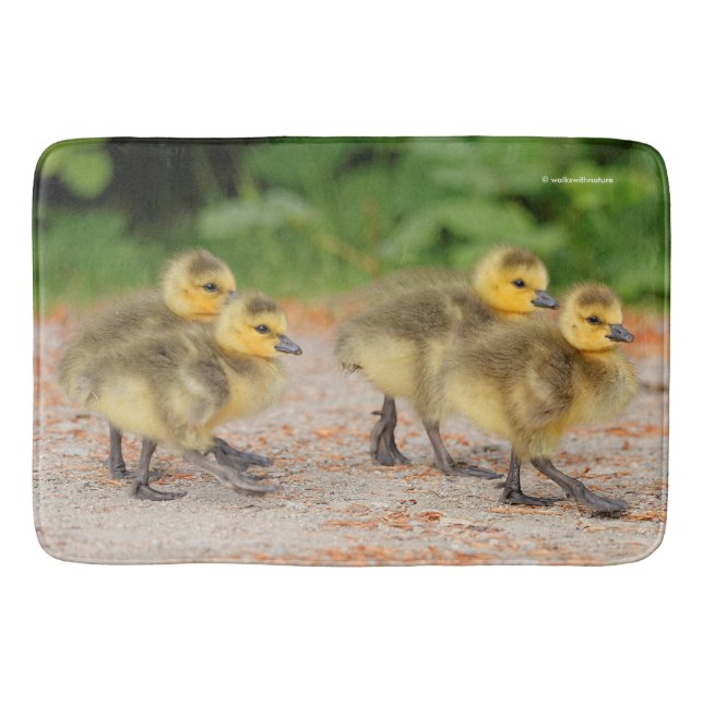 Cuteness on Parade: Canada Goose Goslings Bath Mat (Front)