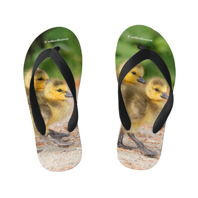 Cuteness on Parade: Canada Goose Goslings Kid's Flip Flops (Footbed)