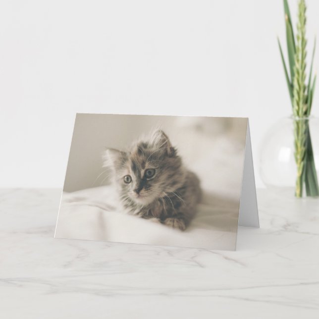 Cuteness therapy kitten thinking of you card (Front)