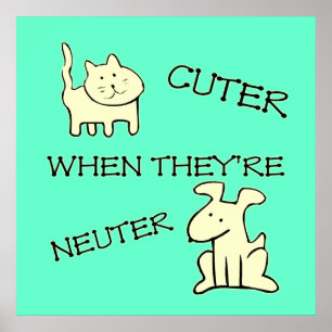 Cuter Poster