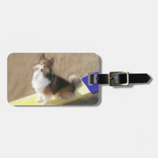 CuteShetland Sheepdog sitting on a teeter Luggage Tag