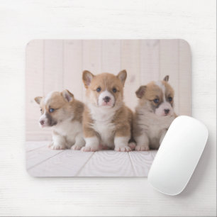 Cutest Baby Animals 3 Baby Corgis Mouse Mat