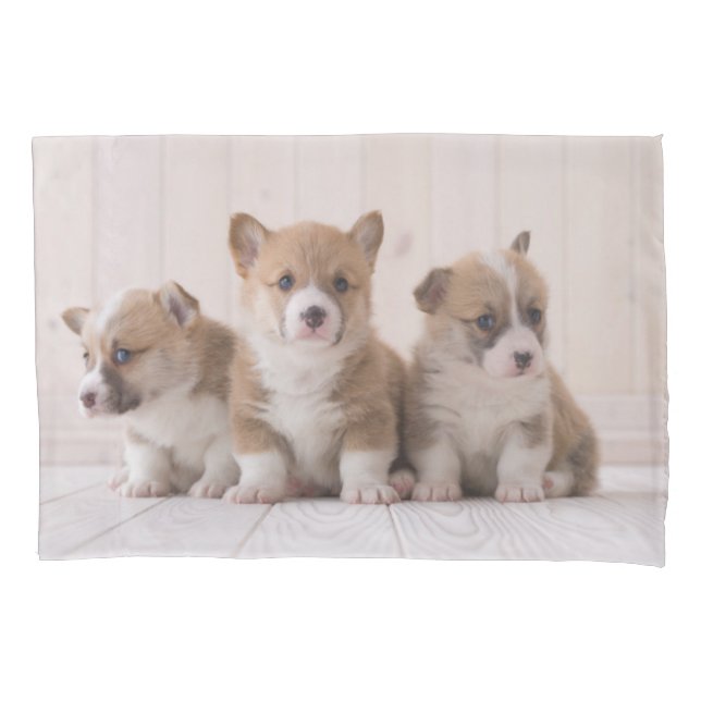 Cutest Baby Animals | 3 Baby Corgis Pillowcase (Front)