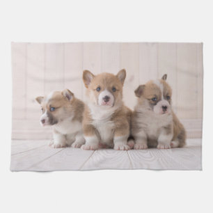 Cutest Baby Animals 3 Baby Corgis Tea Towel