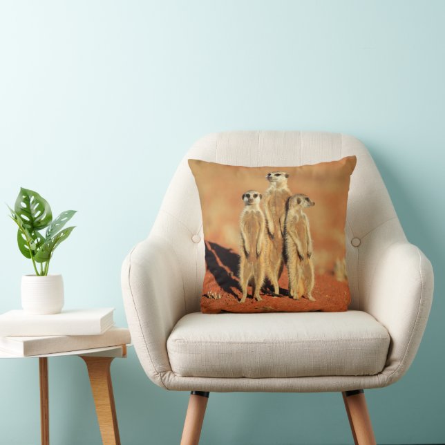 Cutest Baby Animals | 3 Meerkats Cushion (Chair)
