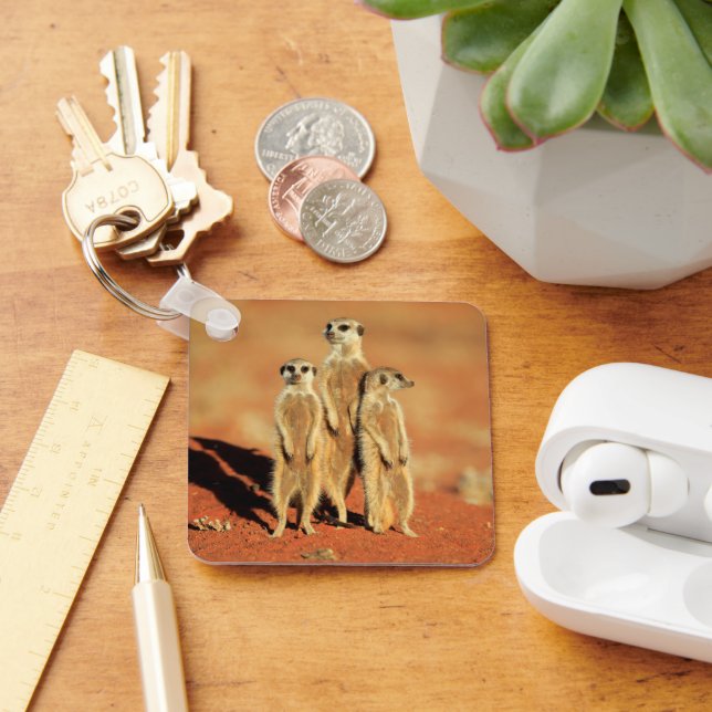 Cutest Baby Animals | 3 Meerkats Key Ring (Desk)