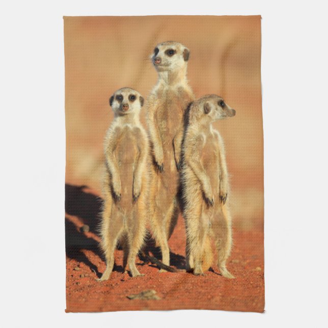 Cutest Baby Animals | 3 Meerkats Tea Towel (Vertical)
