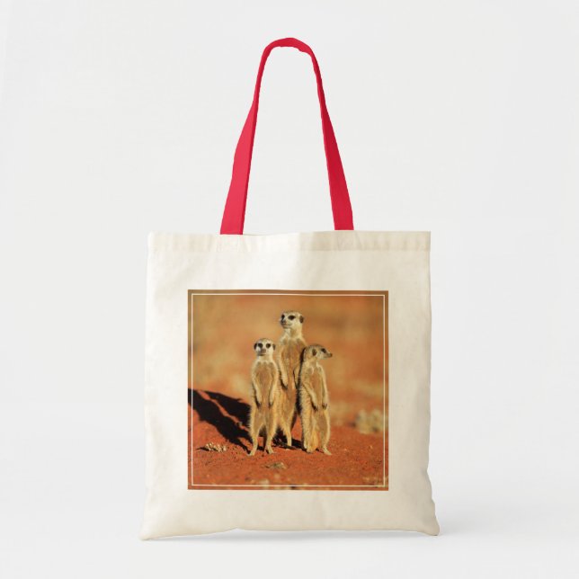 Cutest Baby Animals | 3 Meerkats Tote Bag (Front)