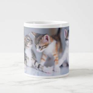 Cutest Baby Animals 3 Tabby Kittens Large Coffee Mug