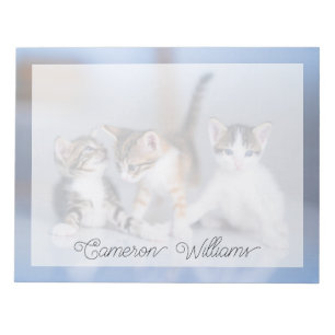 Cutest Baby Animals   3 Tabby Kittens Notepad