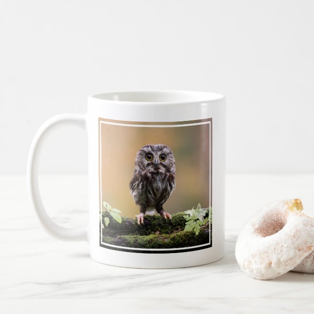 Cutest Baby Animals | A Baby Owl Coffee Mug (With Donut)