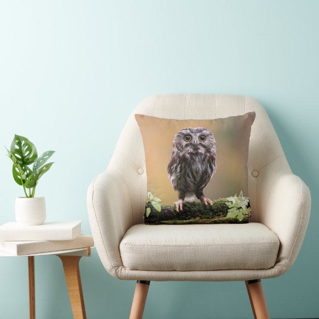 Cutest Baby Animals | A Baby Owl Cushion (Chair)
