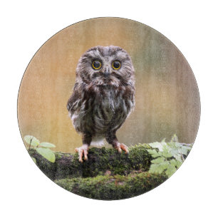 Cutest Baby Animals   A Baby Owl Cutting Board