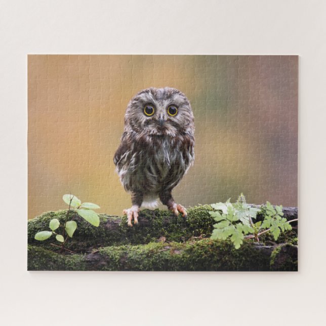 Cutest Baby Animals | A Baby Owl Jigsaw Puzzle (Horizontal)