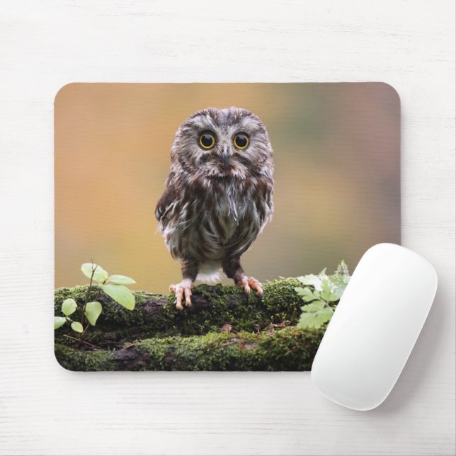 Cutest Baby Animals | A Baby Owl Mouse Mat (With Mouse)