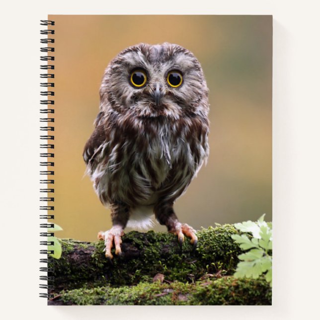 Cutest Baby Animals | A Baby Owl Notebook (Front)