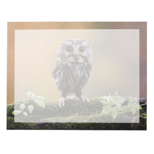 Cutest Baby Animals   A Baby Owl Notepad