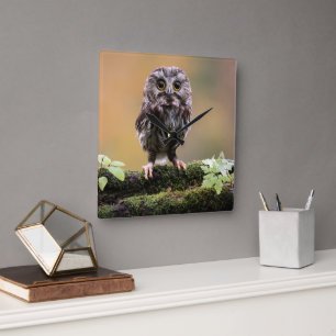 Cutest Baby Animals A Baby Owl Square Wall Clock