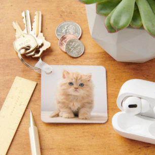 Cutest Baby Animals A British Longhair Kitten Key Ring