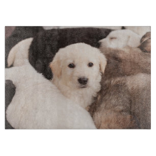 Cutest Baby Animals A Cute Pile of Puppies Cutting Board