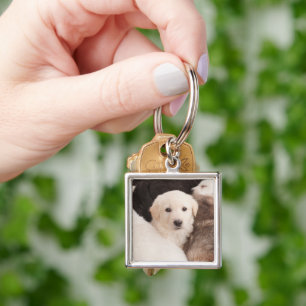 Cutest Baby Animals A Cute Pile of Puppies Key Ring