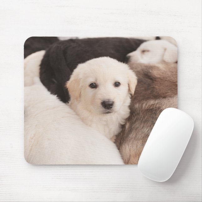 Cutest Baby Animals | A Cute Pile of Puppies Mouse Mat (With Mouse)