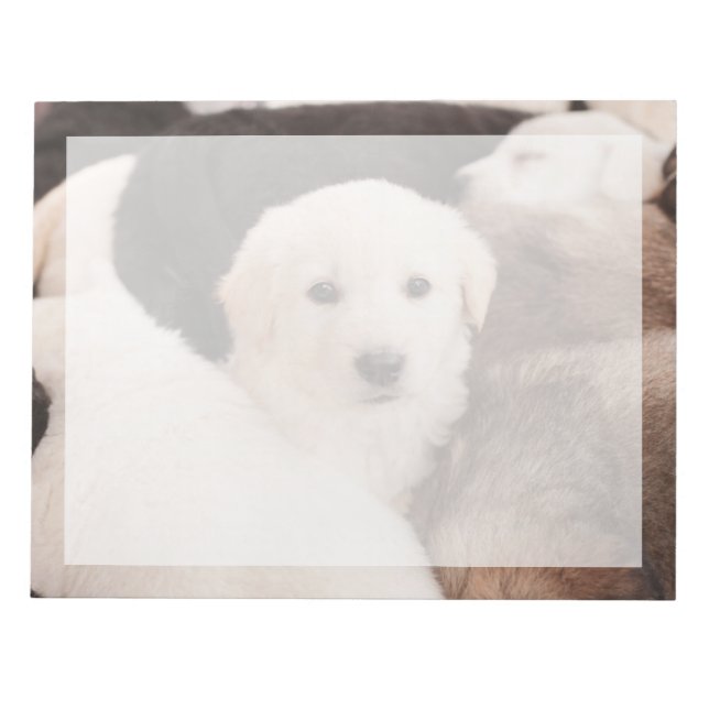 Cutest Baby Animals | A Cute Pile of Puppies Notepad (Front)