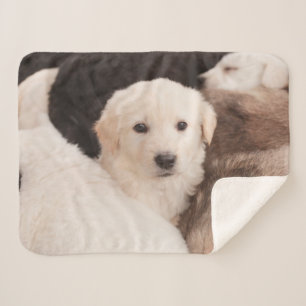 Cutest Baby Animals   A Cute Pile of Puppies Sherpa Blanket