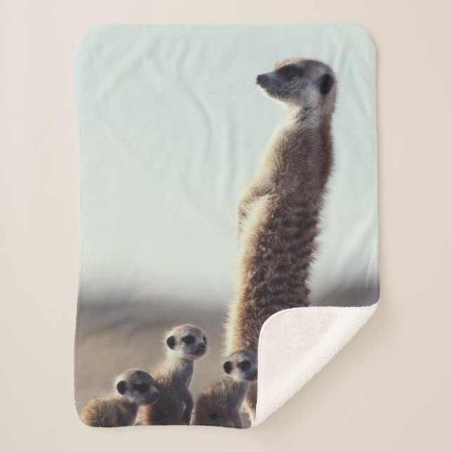Cutest Baby Animals | A Family of Meerkats Sherpa Blanket (Front)