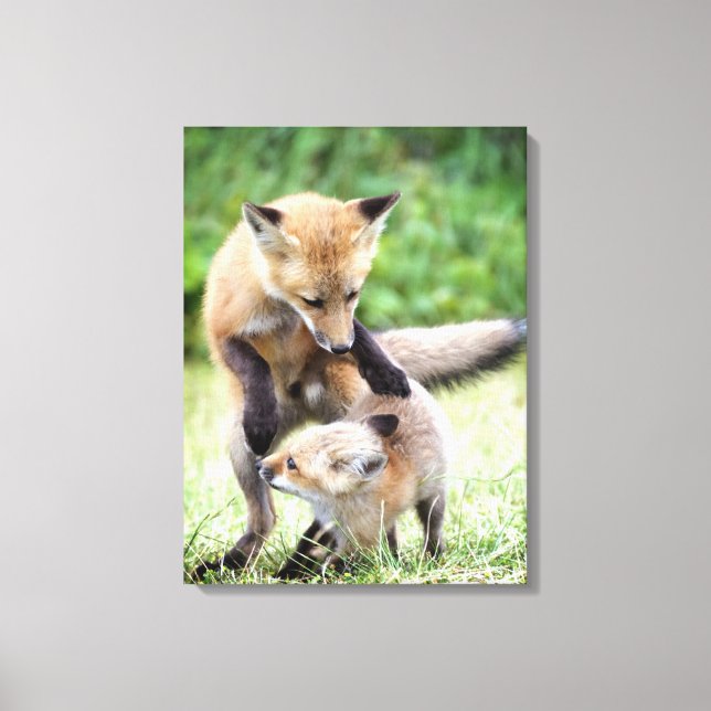 Cutest Baby Animals | Adorable Fox Kit & Mama Canvas Print (Front)