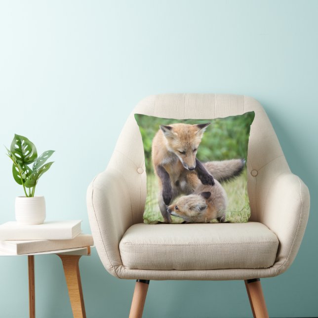 Cutest Baby Animals | Adorable Fox Kit & Mama Cushion (Chair)