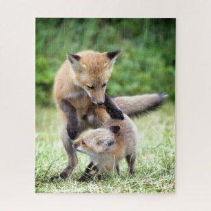 Cutest Baby Animals   Adorable Fox Kit & Mama Jigsaw Puzzle