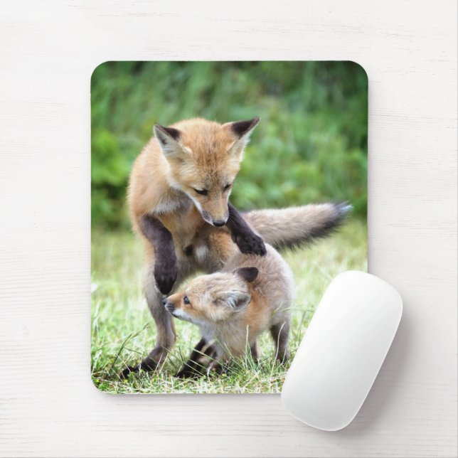 Cutest Baby Animals | Adorable Fox Kit & Mama Mouse Mat (With Mouse)