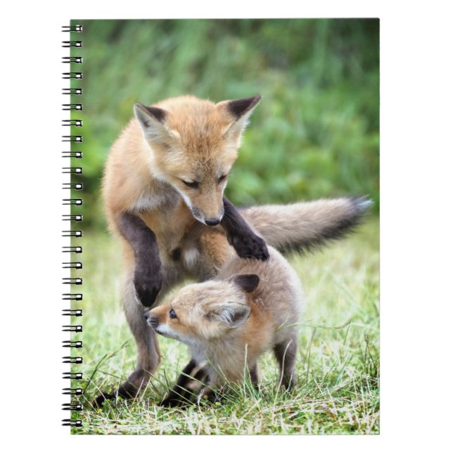 Cutest Baby Animals | Adorable Fox Kit & Mama Notebook (Front)