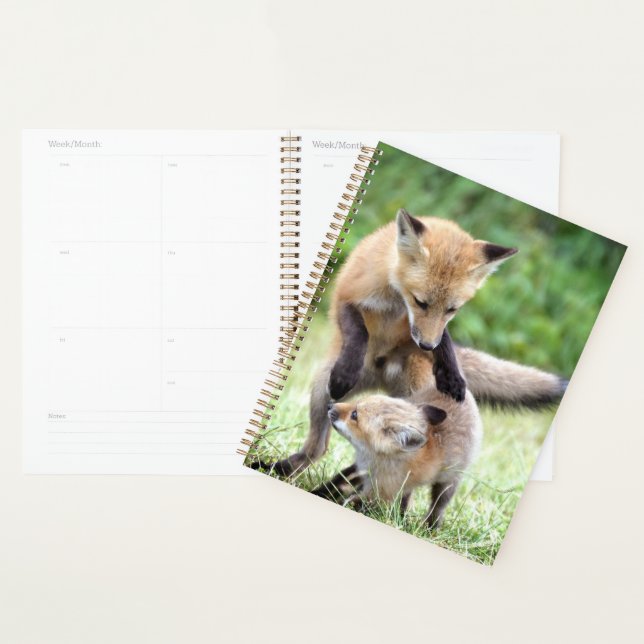Cutest Baby Animals | Adorable Fox Kit & Mama Planner (Display)