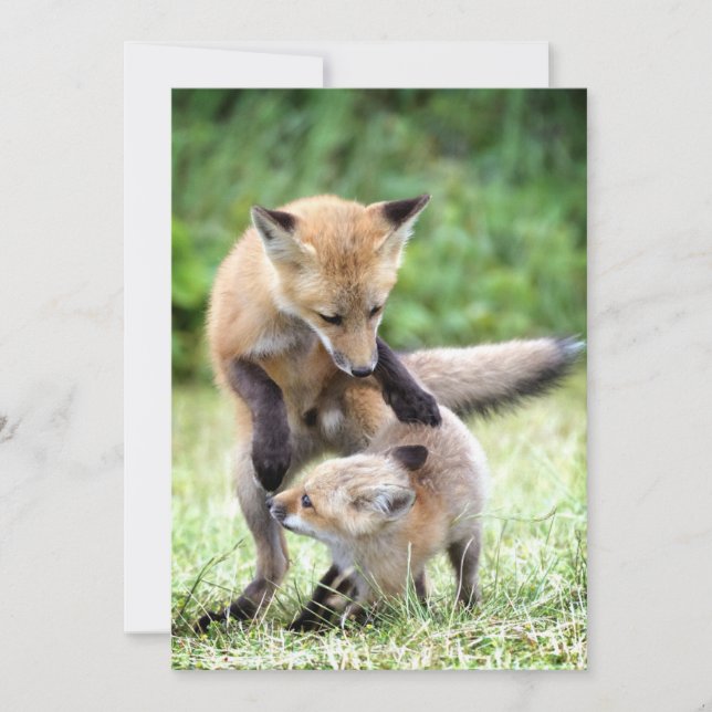 Cutest Baby Animals | Adorable Fox Kit & Mama Thank You Card (Front)