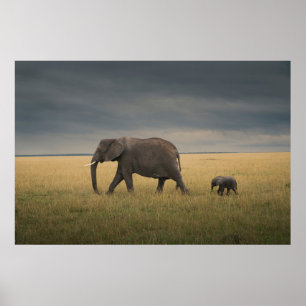 Cutest Baby Animals   African Elephant Family Poster