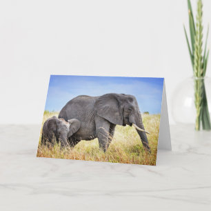 Cutest Baby Animals   African Elephant & Mother Card