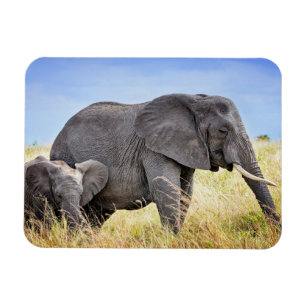 Cutest Baby Animals African Elephant & Mother Magnet