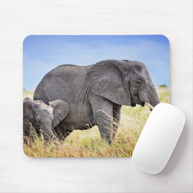 Cutest Baby Animals | African Elephant & Mother Mouse Mat (With Mouse)